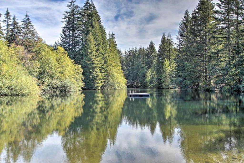 New Modern Cabin! 5Mi To Mt Rainier National Park! Hot Tub & Wifi Ашфорд Екстериор снимка